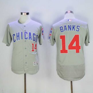 Chicago Cubs #14 Ernie Banks Mitchell And Ness Gray Flexbase Collection Stitched Jersey